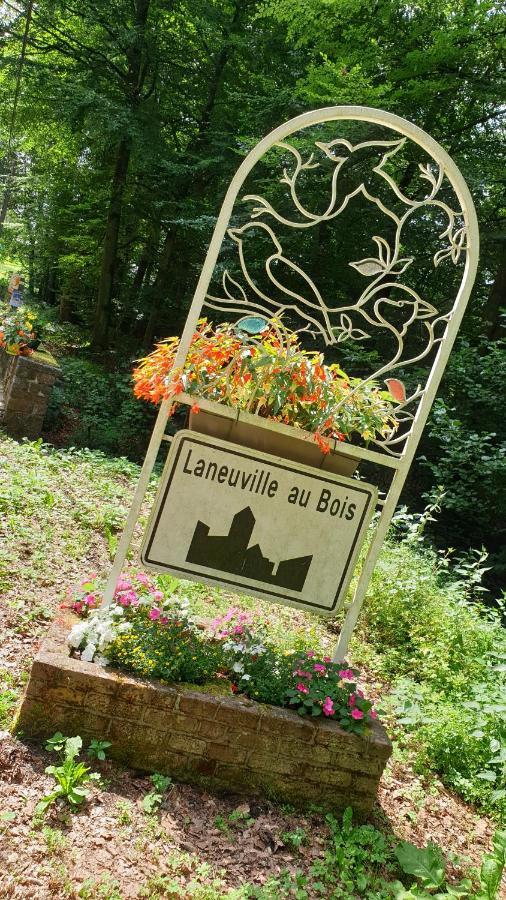Bed and Breakfast Le Prangeleux Tenneville Екстер'єр фото